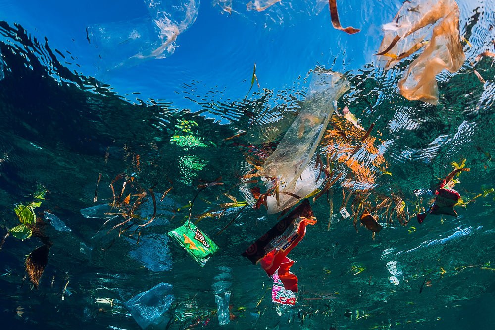 It's 2023 and plastic is still not cool! - Zerolla