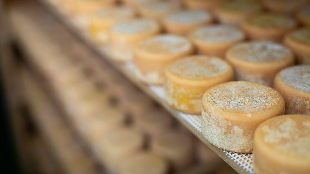 Natural foods that can remineralise your teeth - Zerolla