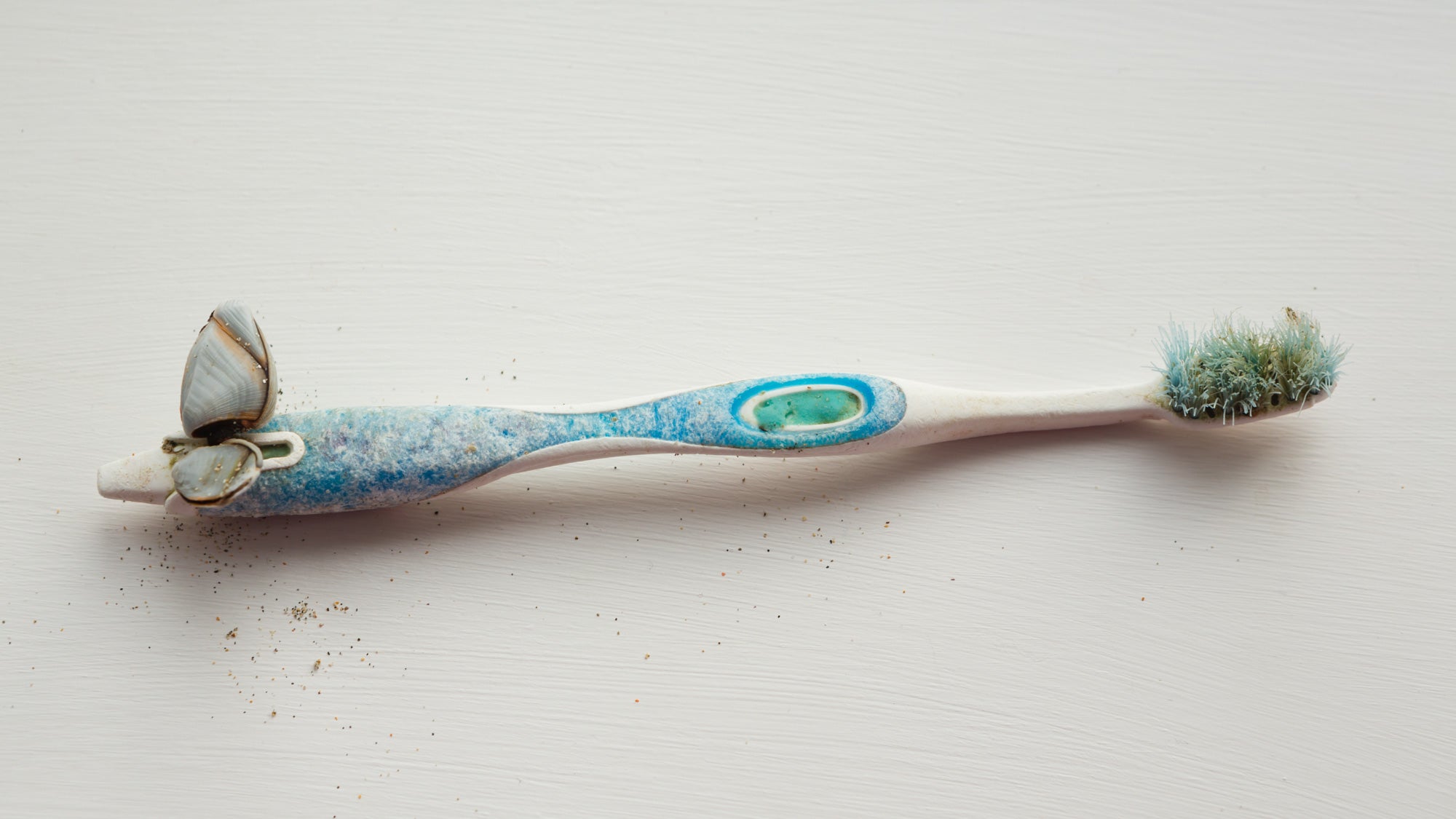 Why Sustainable Dentistry Matters in Fighting Climate Change - Zerolla