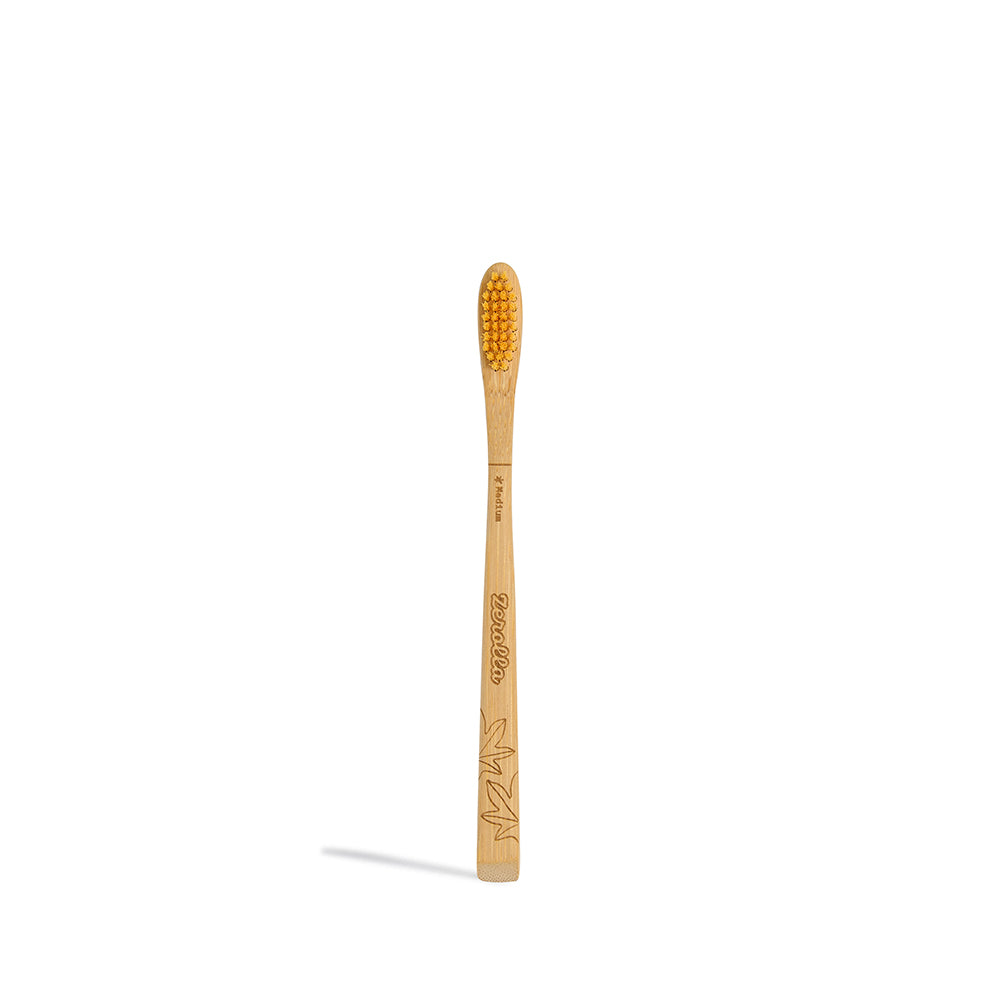 Eco biobased bamboo toothbrush with BPA-free nylon bristles in soft, medium, firm, and kids' options